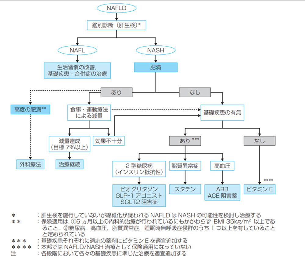 日本肝臓学会のNAFLD/NASH診療ガイドライン2020（改訂第2版）のNAFLD/NASH治療フローチャート