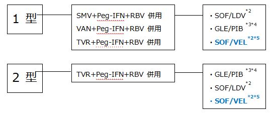 慢性肝炎・代償性肝硬変図