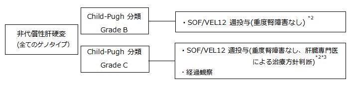 非代償性肝硬変(全てのゲノタイプ）