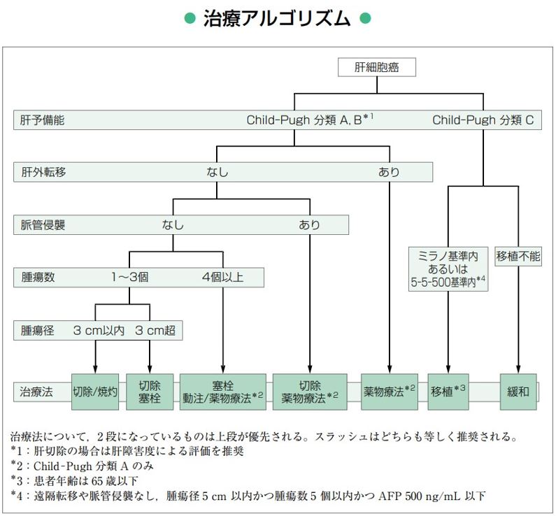 肝癌診療ガイドライン 2021年版 図