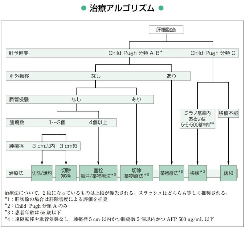 肝癌診療ガイドライン　2021年版　図