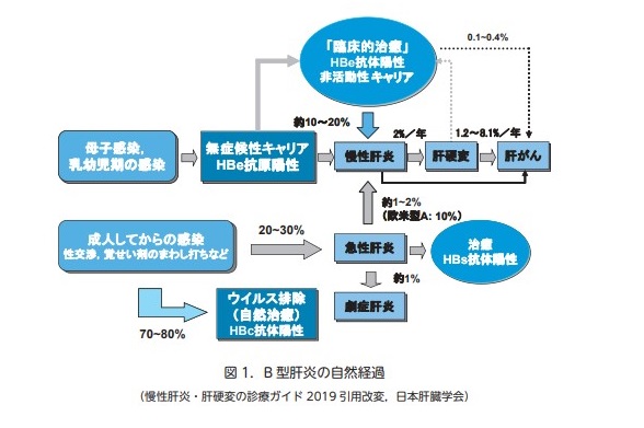 B型肝炎の自然経過　イメージ図