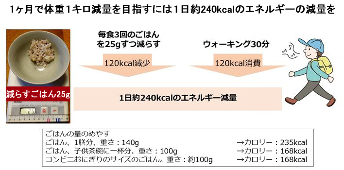 体重1キロ減量を目指すには1日約240kcalのエネルギー減量を